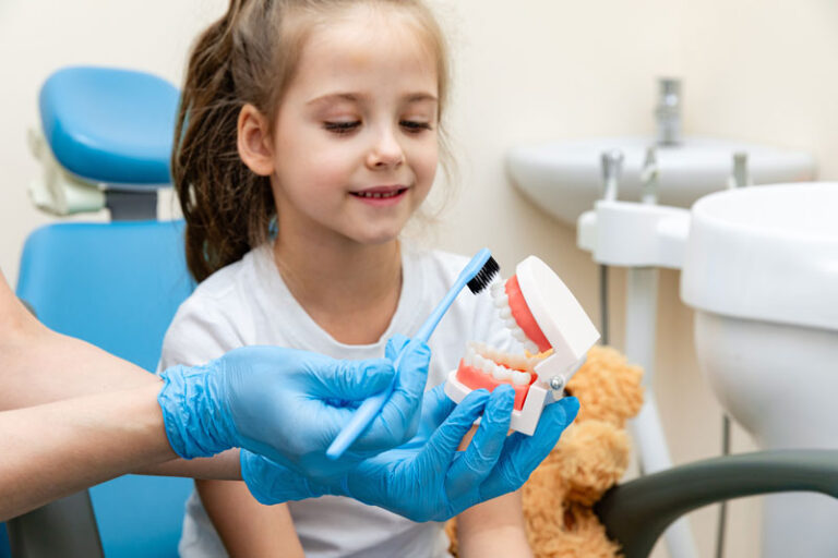 a young girl getting shown a tooth model by the dentist